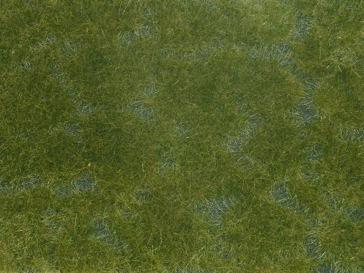 Wild Grass "Meadow"