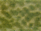 Wild Grass