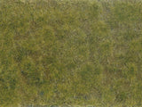 Wild Grass