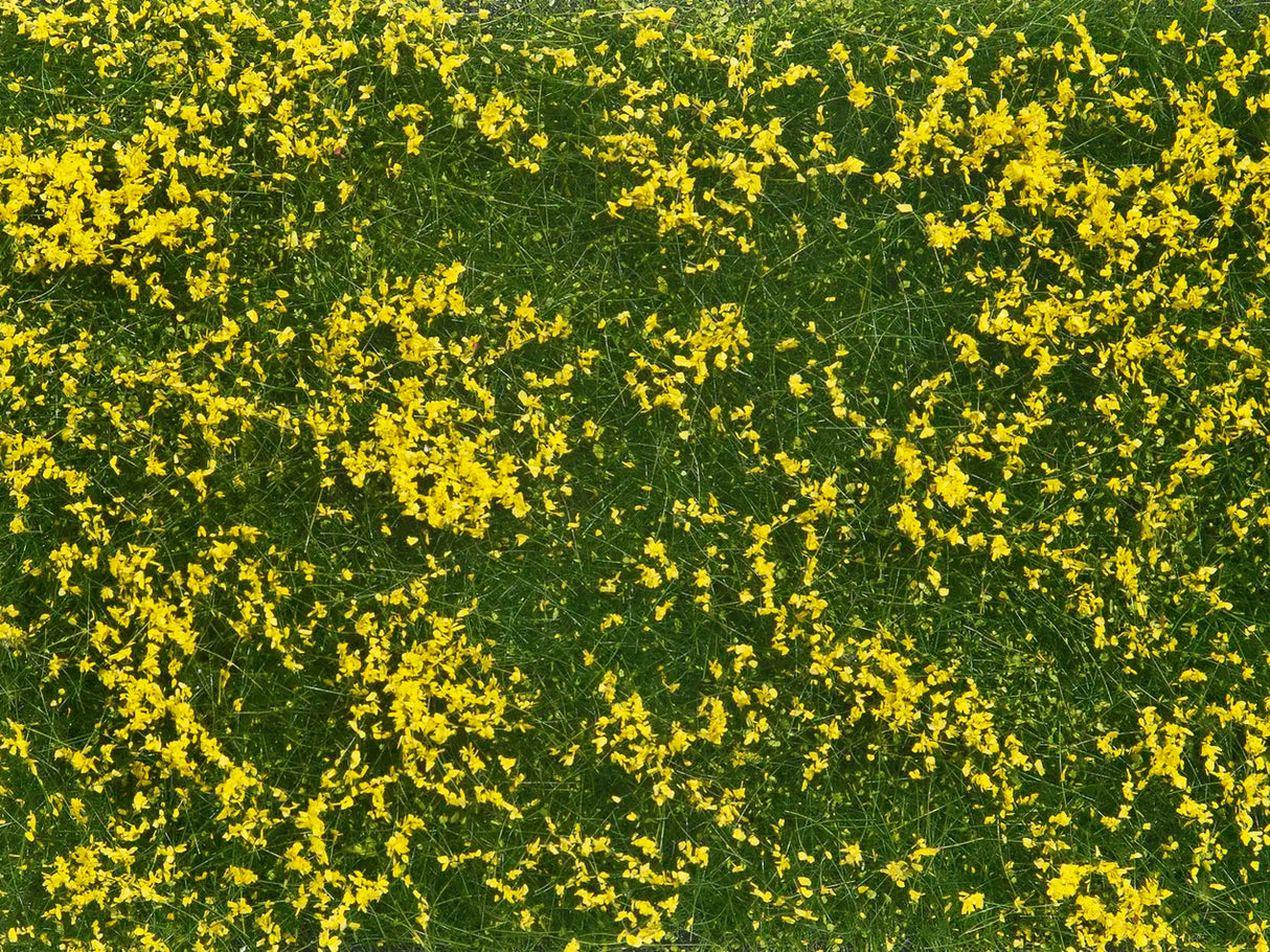Wild Grass
