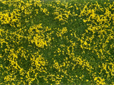 Wild Grass