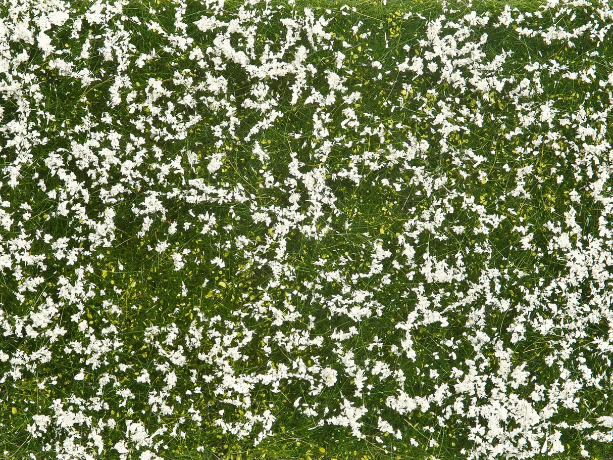Wild Grass "Meadow"