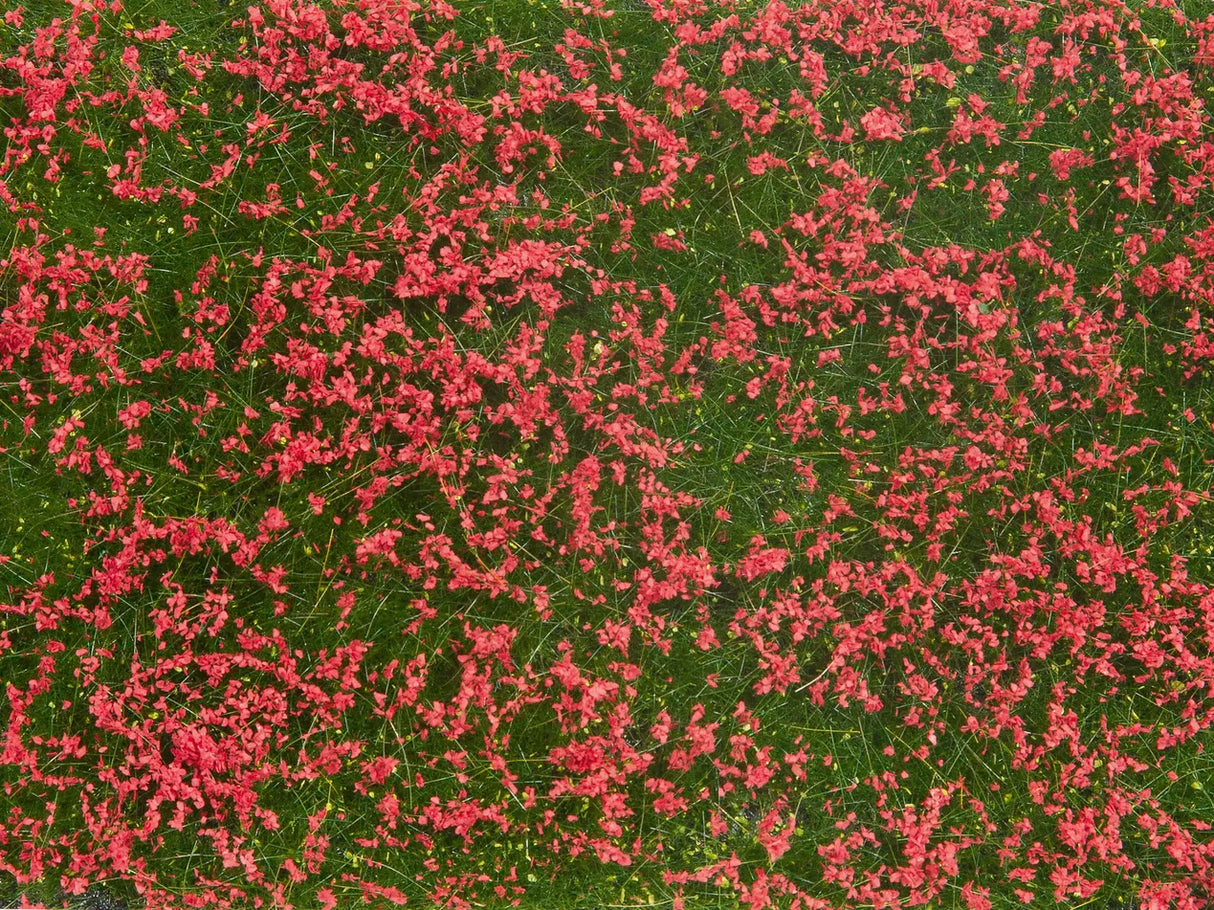 Wild Grass