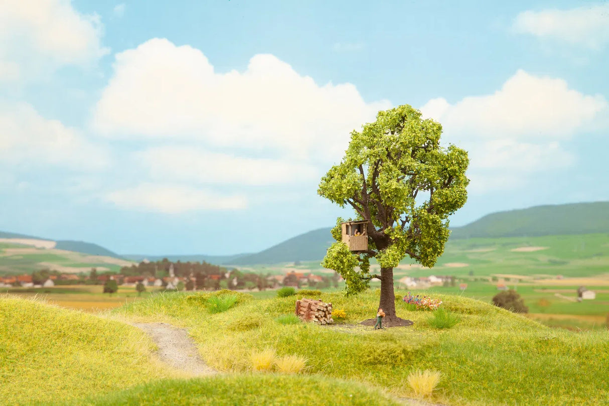 Apple Tree
