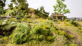 Wild Grass