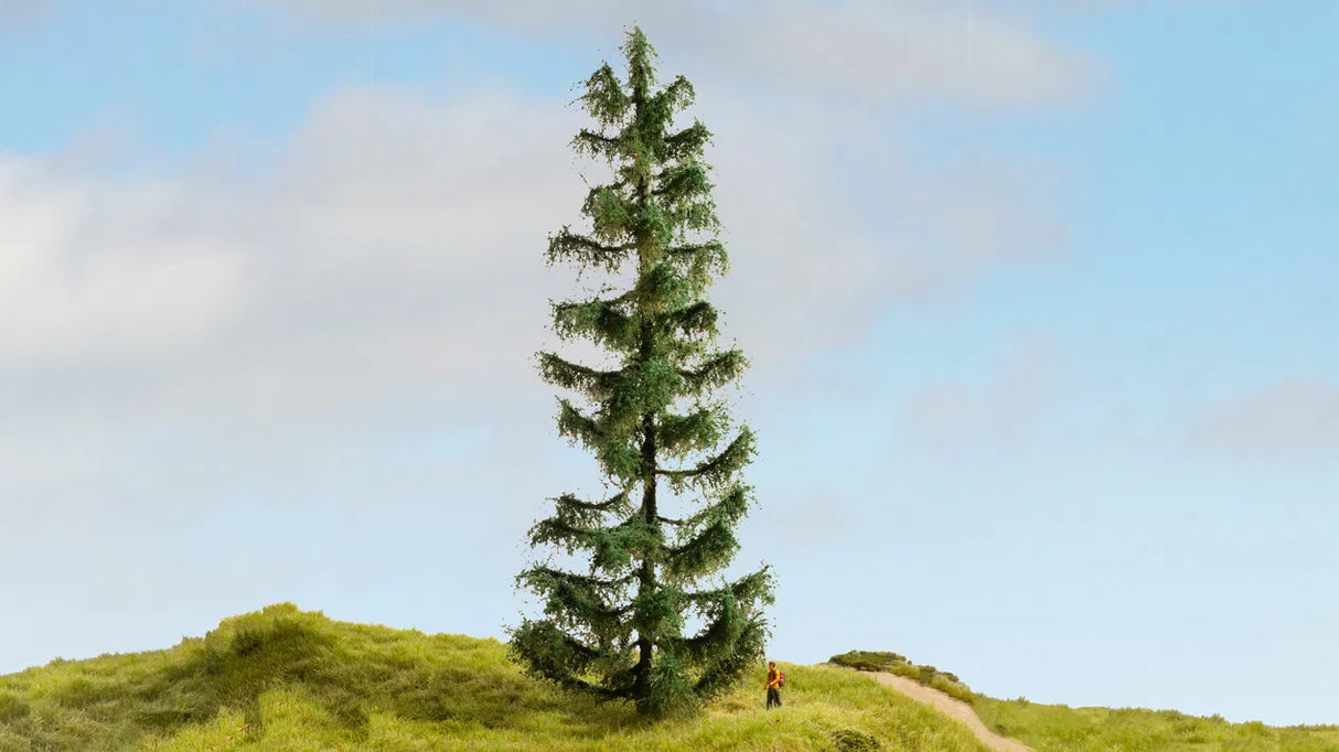 Climber