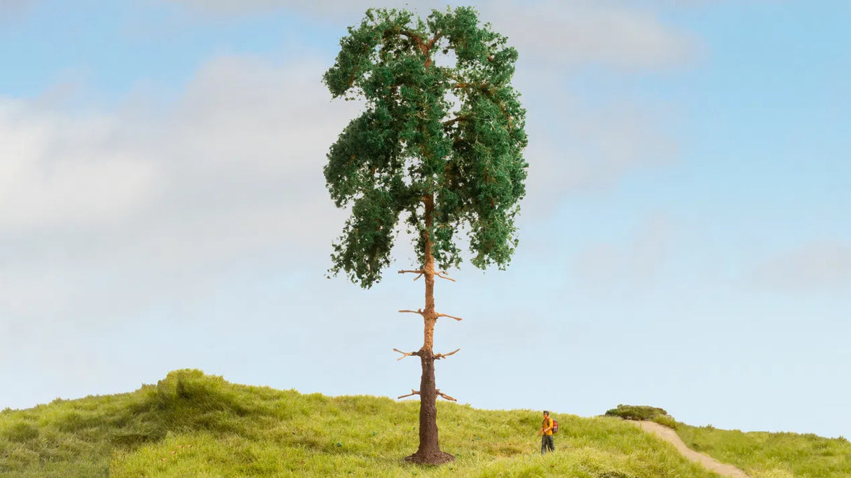 Woodcutters