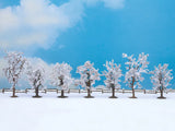 Chestnut Tree