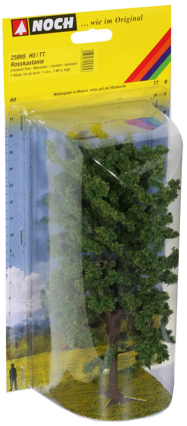 Mixed Forest