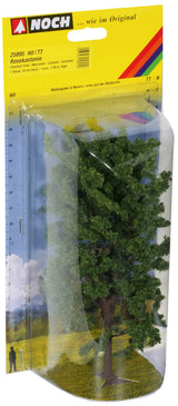 Mixed Forest