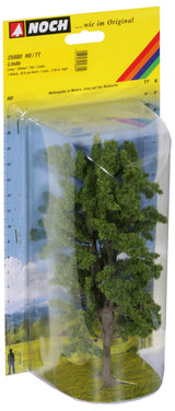 Deciduous Trees