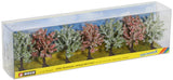 Pine