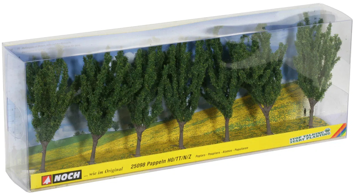 Weathered Spruce