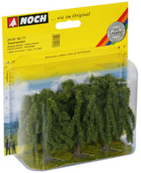Cypress Trees
