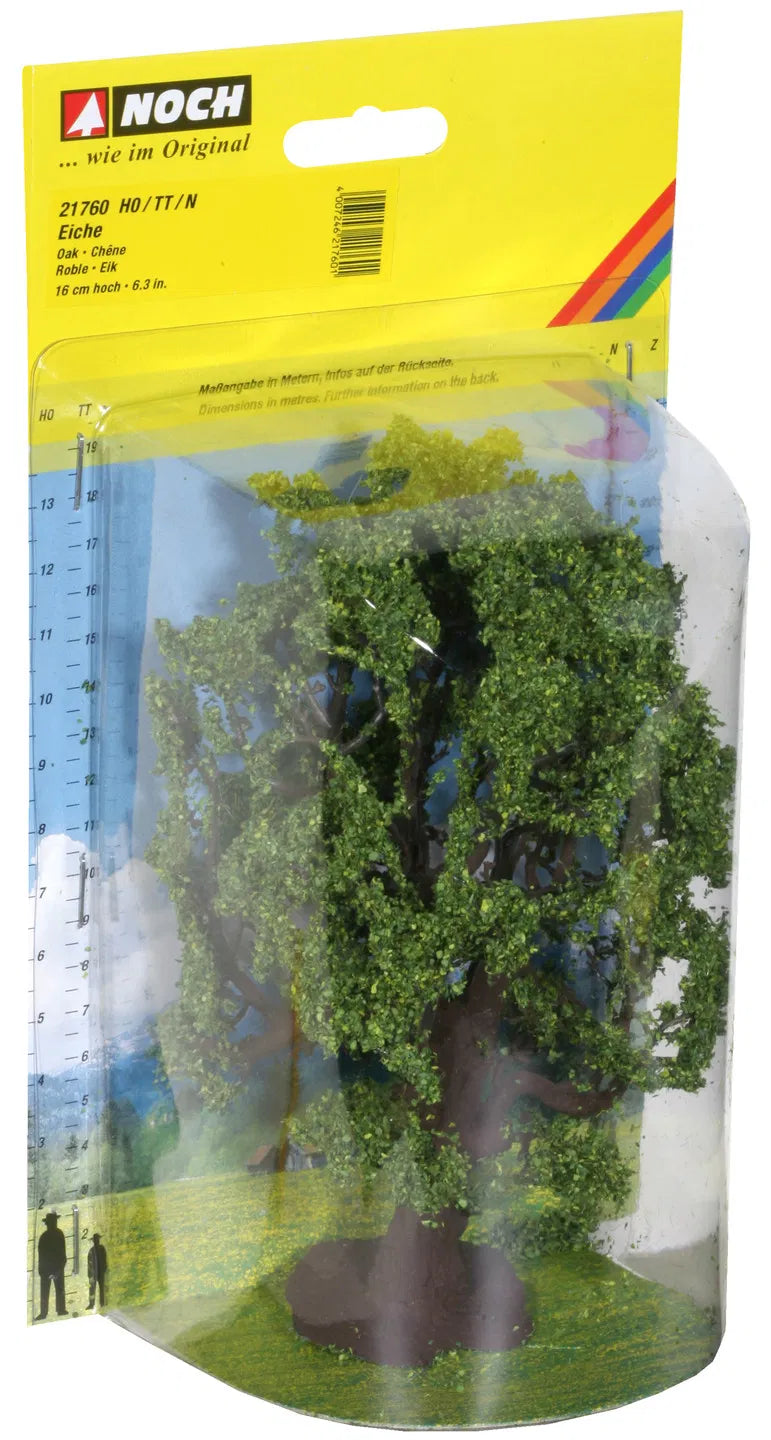 Bog Birch