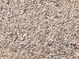 Flowering "Meadow" Grass