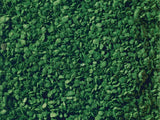 Grass Tufts Mini Set XL "Flowering"
