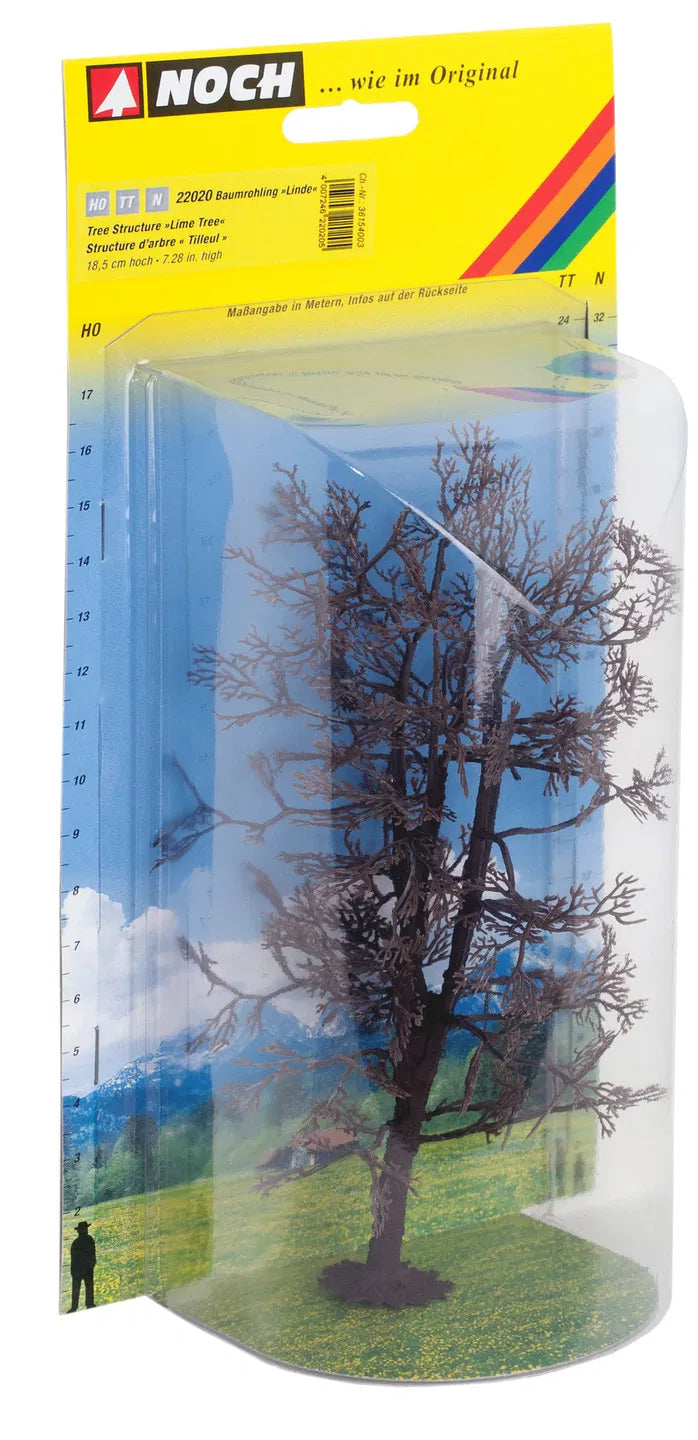 Birch Tree