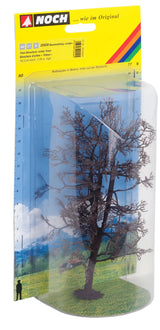 Birch Tree