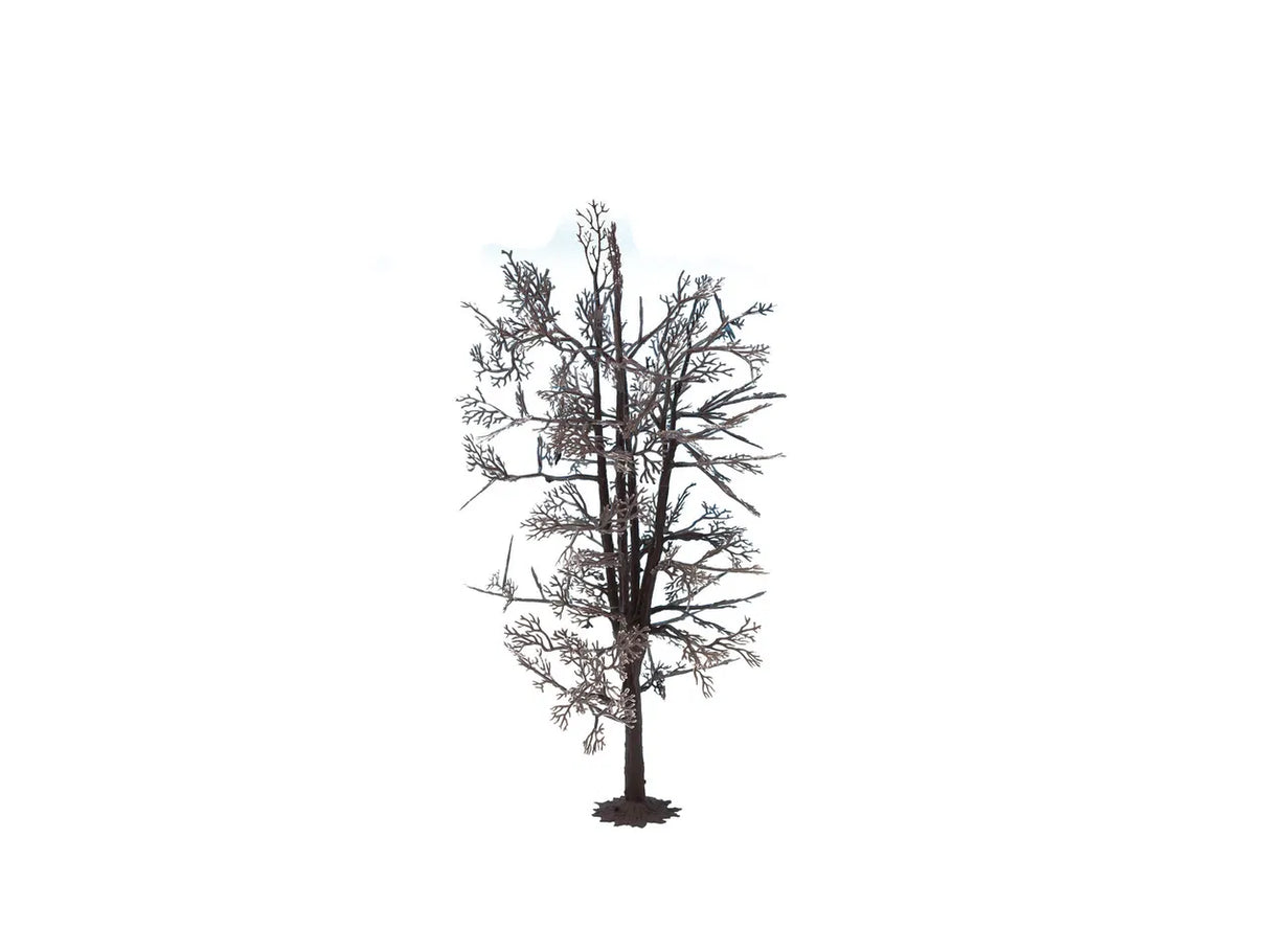 Birch Tree