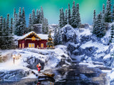 Nordmann Fir
