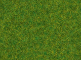 Ground Cover Foliage Green/Brown