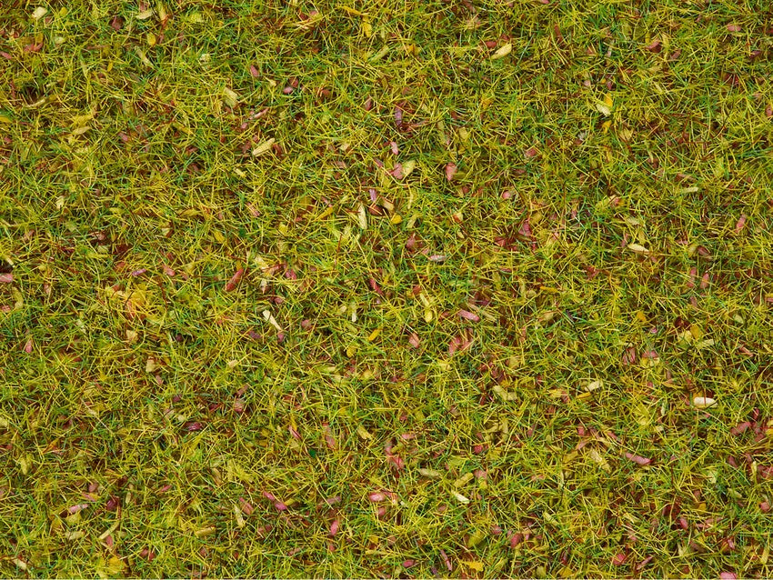 Meadow Foliage