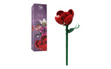 Single Rose Flower