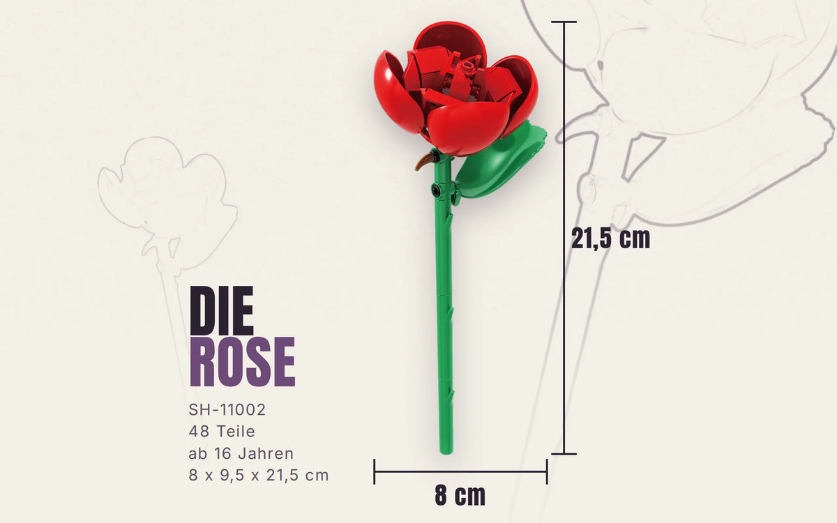 Single Rose Flower