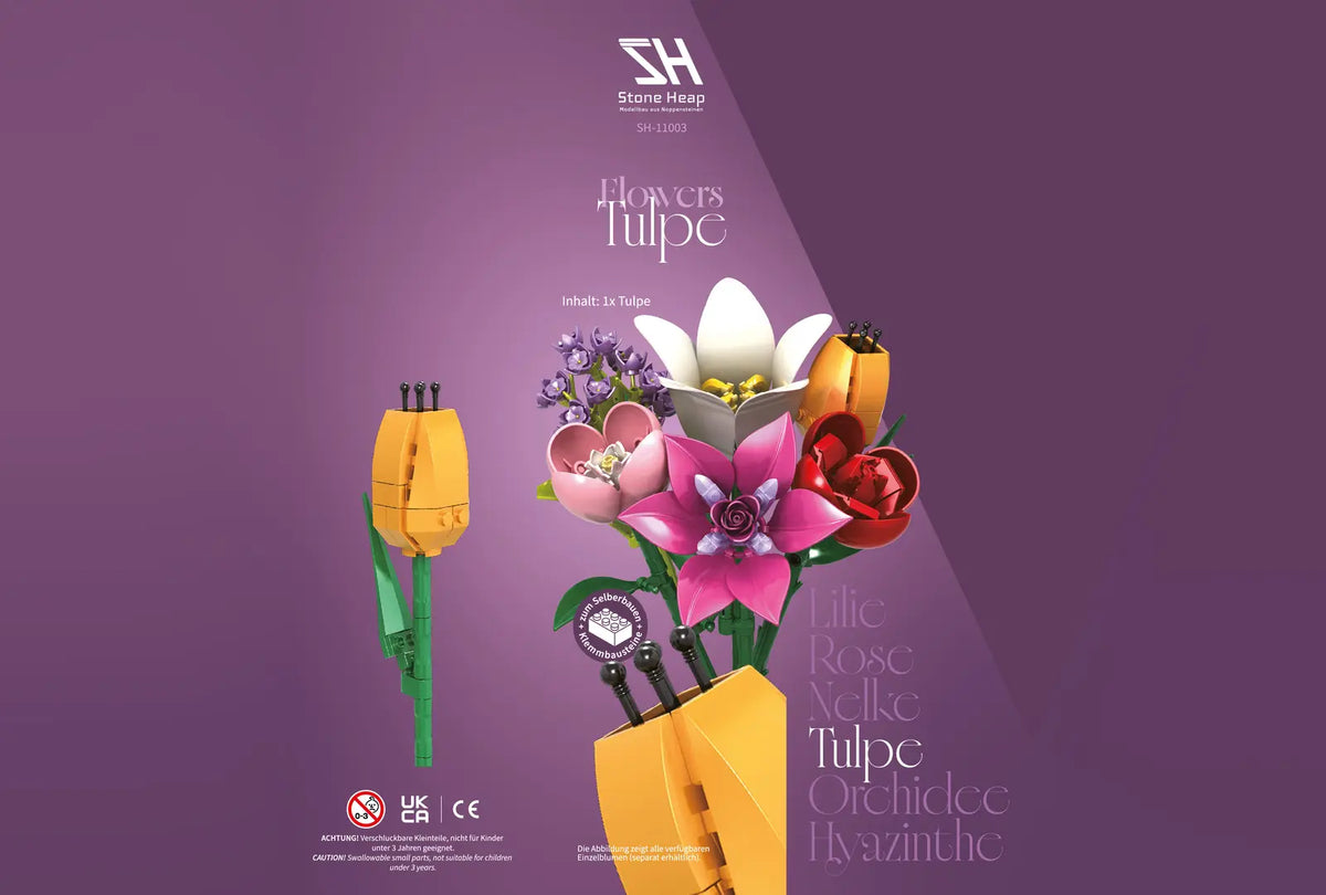 Single Tulip Flower