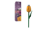 Single Tulip Flower