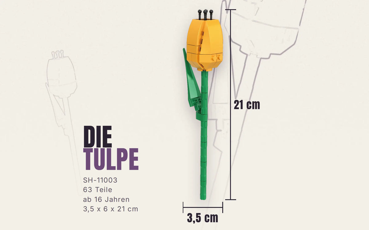 Single Tulip Flower