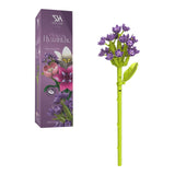 Single Hyacinth
