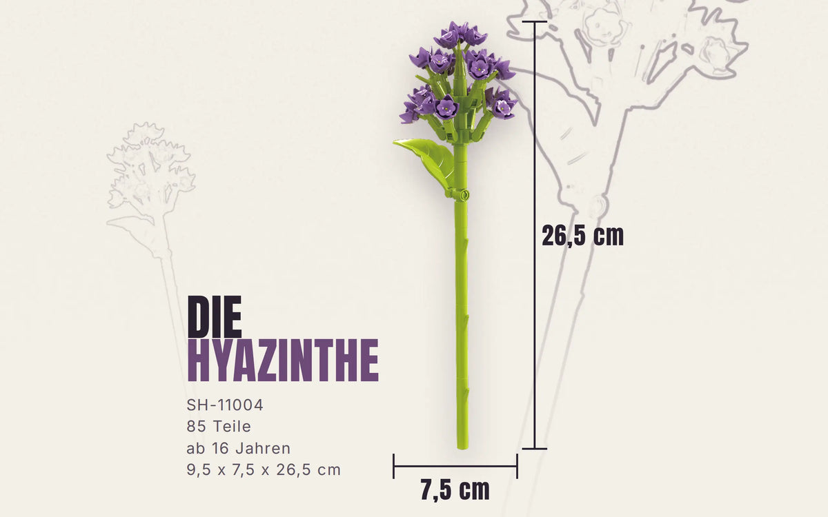 Single Hyacinth