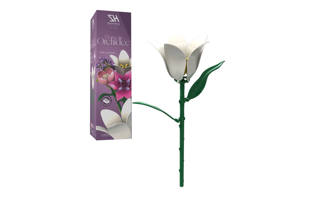 Single Orchid Flower