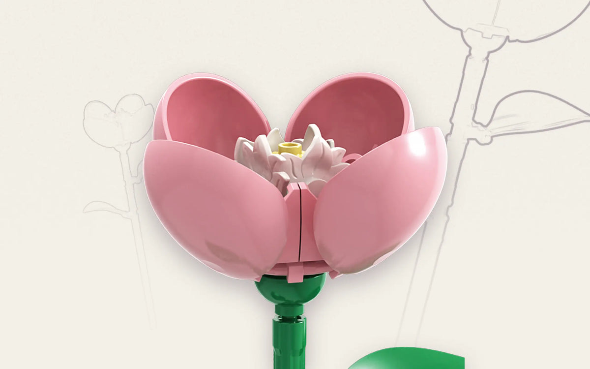 Single Carnation Flower