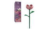 Single Carnation Flower