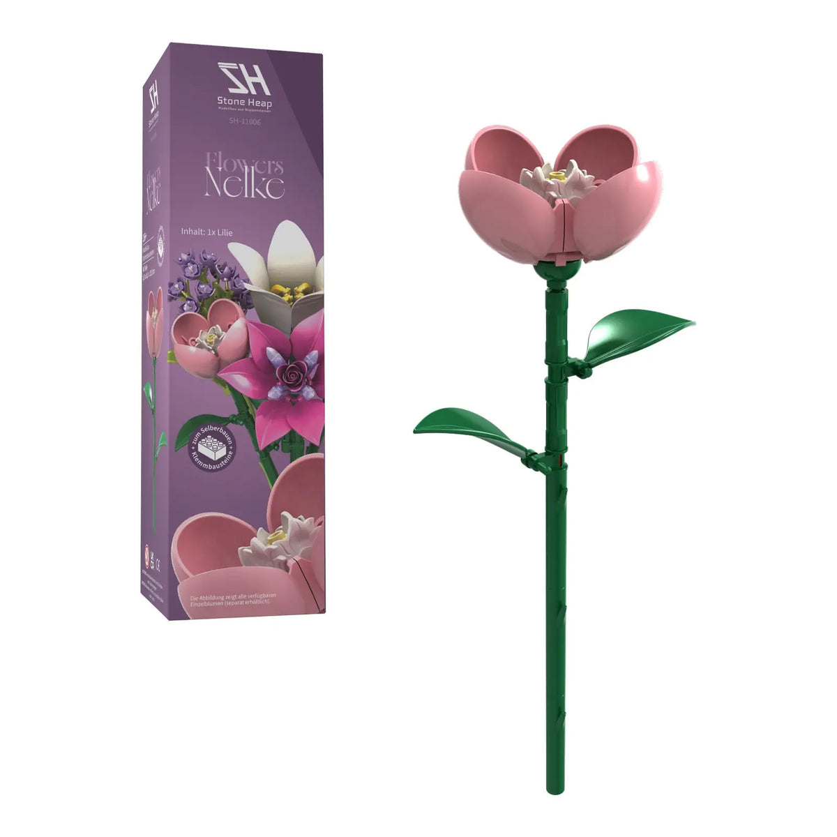 Single Carnation Flower