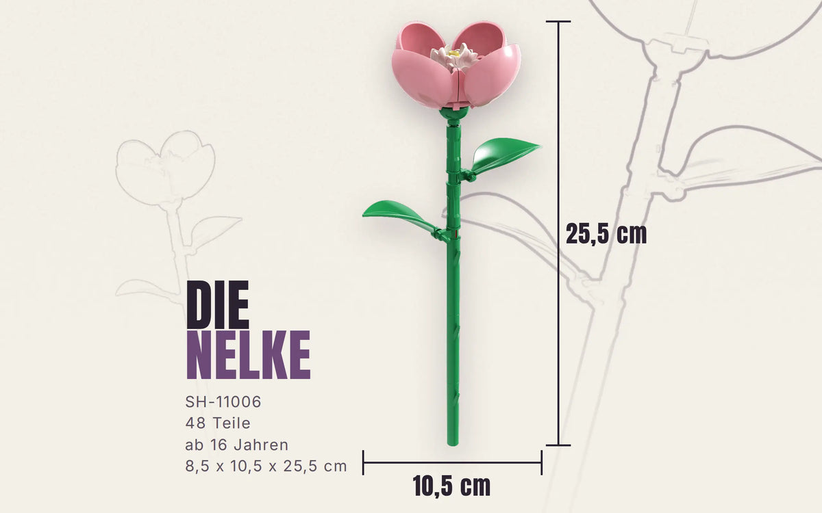 Single Carnation Flower