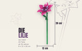 Single Lily