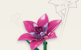 Single Lily