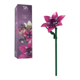 Single Lily