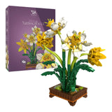 Daffodil Flower Bed