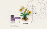 Daffodil Flower Bed