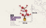 Wild Rose Branch