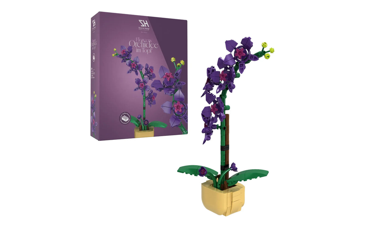 Orchid in a Pot