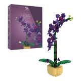 Orchid in a Pot