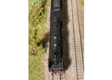 "Saxon Pride" Class 19.0 Steam Locomotive