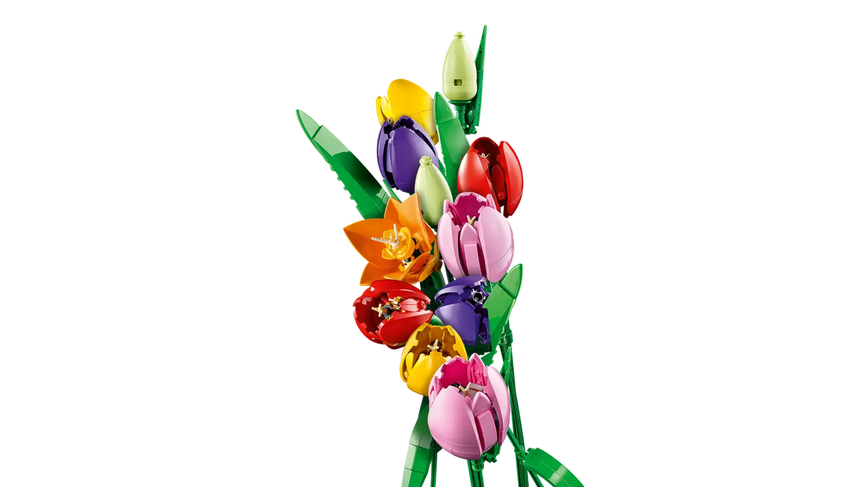 Tulip Bouquet