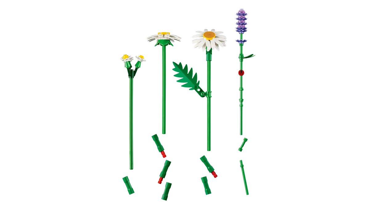 Daisies